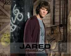 entertainmentwallpaper.com Padalecki