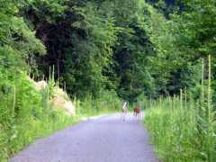 americantrails.org Padeer