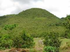 maribojoc.gov.ph Padhan