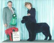 summerfordnewfoundlands.com Padiachy