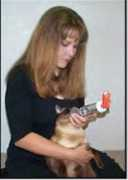 pet-hospital.org Padrid