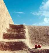 newsight.persiangig.com Paeiz