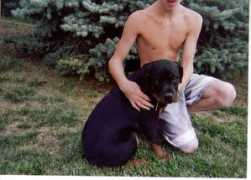 vomvollenhausrottweilers.com Pagler