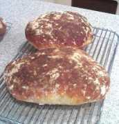 thefreshloaf.com Pagnotta