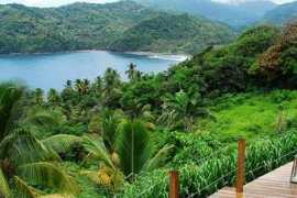 investdominica.com Pagua