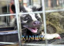 news.xinhuanet.com Paguna