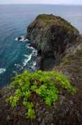 Pahad