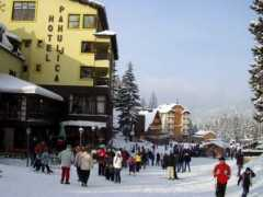 panoramio.com Pahuljica