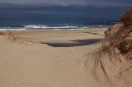 Paia