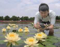watergardenersinternational.org Pairat