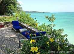 livinglocurto.com Paito