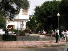 sunnyfuerteventura.com Pajara