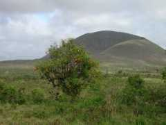 panoramio.com Pajas