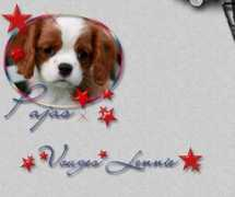 cavalierinmyheart.se Pajas