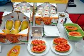freshplaza.it Pajola