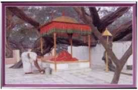 Pakar