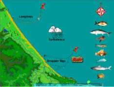 fishingkites.co.nz Pakiri