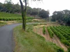 panoramio.com Palaja