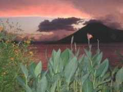 rositour.it Palapo