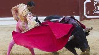 laverdad.es Palhas