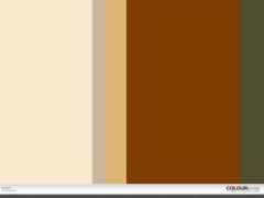 colourlovers.com Palladin