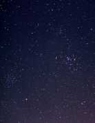 Pallas