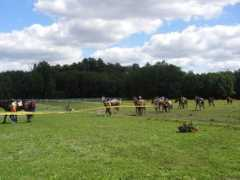 fotoalbum.ee Pallase