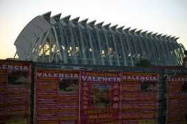 Pallea