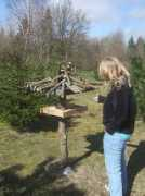 Palles