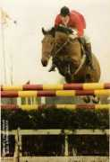 heymanstables.com Pallieter