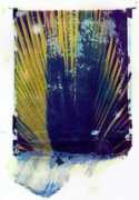 Palm