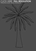 Palmboom