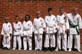 gojukai.se Palminder