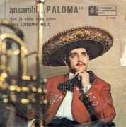 mihamazzini.com Paloma