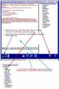 lotuspro.net Paltalk