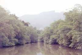 jollygreenp.co.uk Paluan