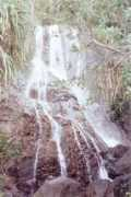 jollygreenp.co.uk Paluan