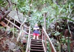 jollygreenp.co.uk Paluan