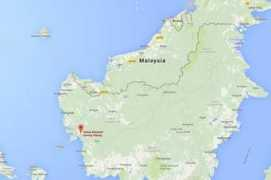 theepochtimes.com Palung