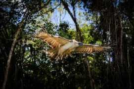 sunstar.com.ph Pamana