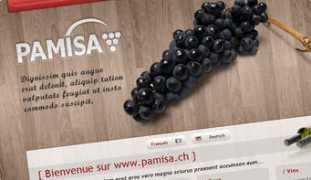 floor.ch Pamisa