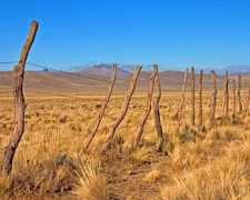 Pampas