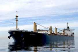 ds-norden.com Panamax