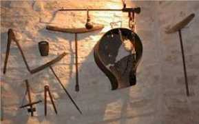museoscienza.it Panaroni