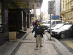 overmundo.com.br Panarotto
