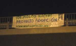 unidosporlavida.org Pancartas