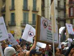 gallery.sat.org.es Pancartas