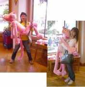 pincle.net Pancer