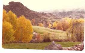 panoramio.com Pandero