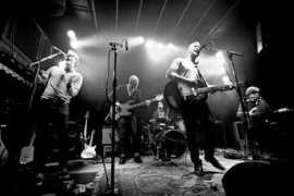 treehouseband.com Panelius